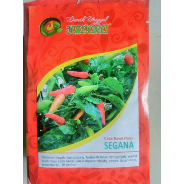 Benih Cabe Rawit Hijau Segana - Benih Cabe Rawit - Bibit Cabe Rawit - Benih Cabe - Biji Cabe Rawit