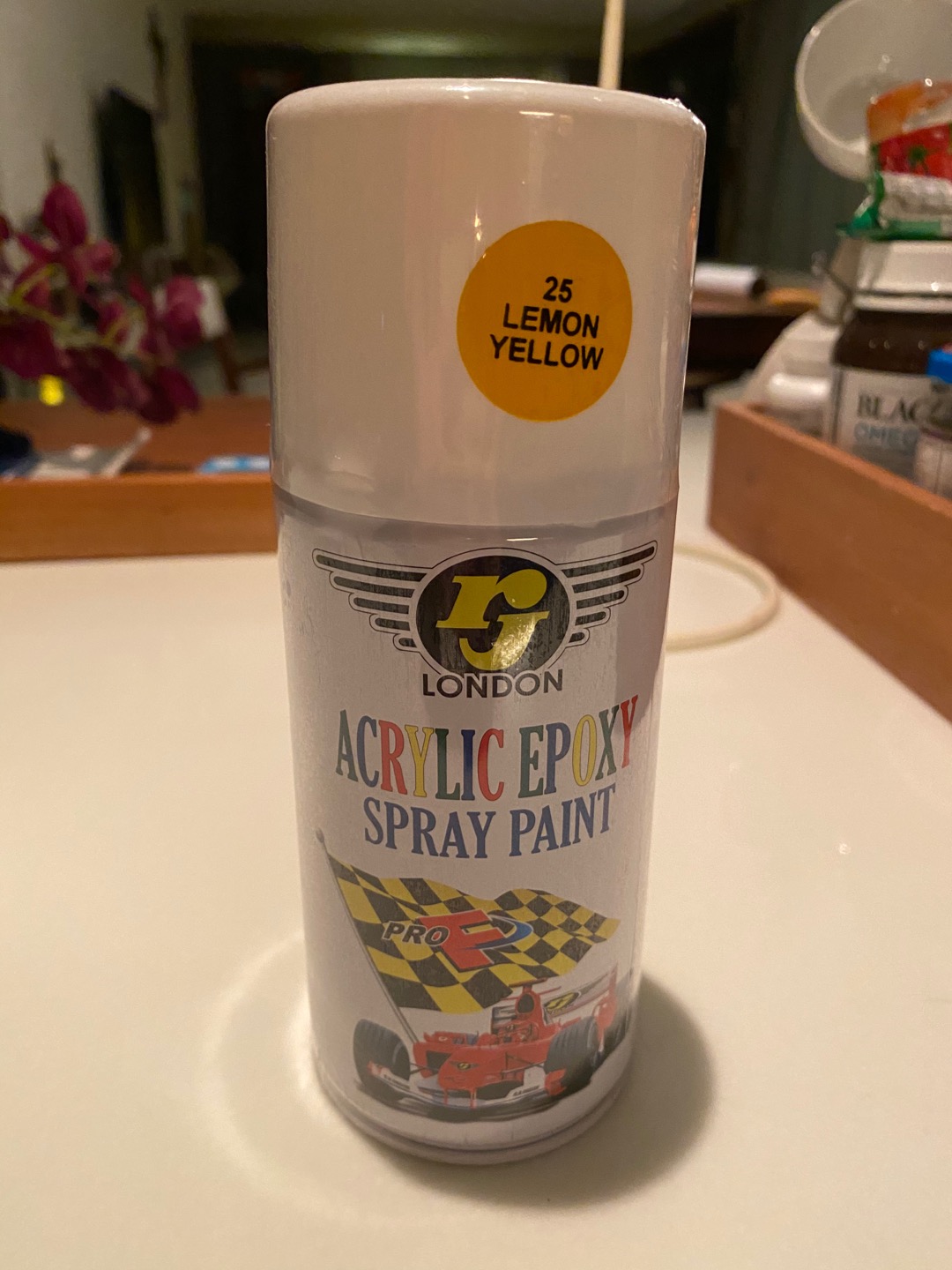 Rj London Acrylic Spray Paint / Cat Pilox