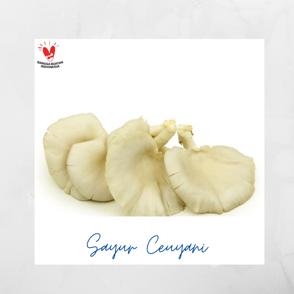 

Jamur Tiram - 100 Gram