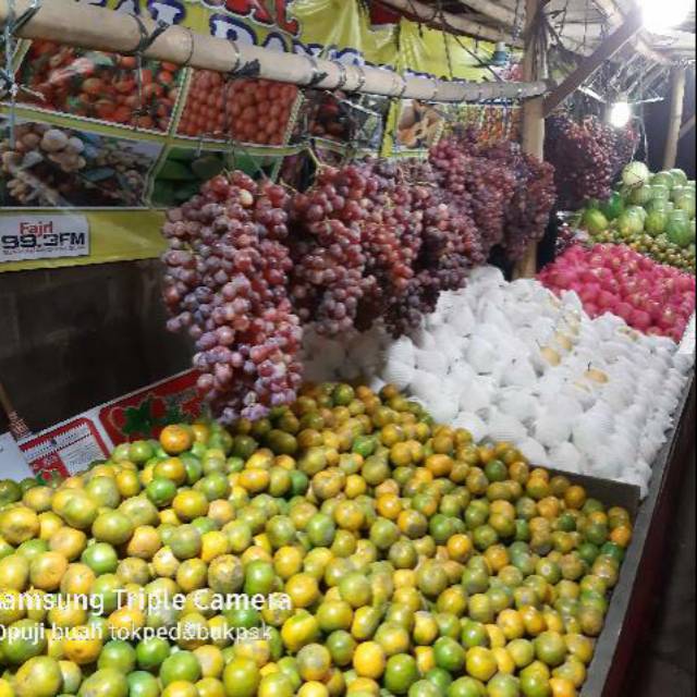 Jeruk medan berastagi