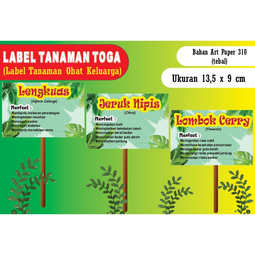 Jual Label Tanaman Toga Tanaman Obat Keluarga Hiasan Taman Hiasan 17 Agustusan Hias 1194