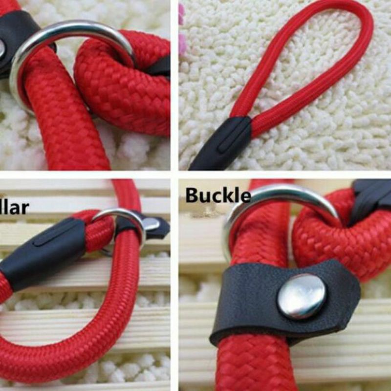 EXOTICGOODS CESAR MILLAN DOG LEASH TALI TUNTUN ANJING TALI ANJING HARNESS ANJING