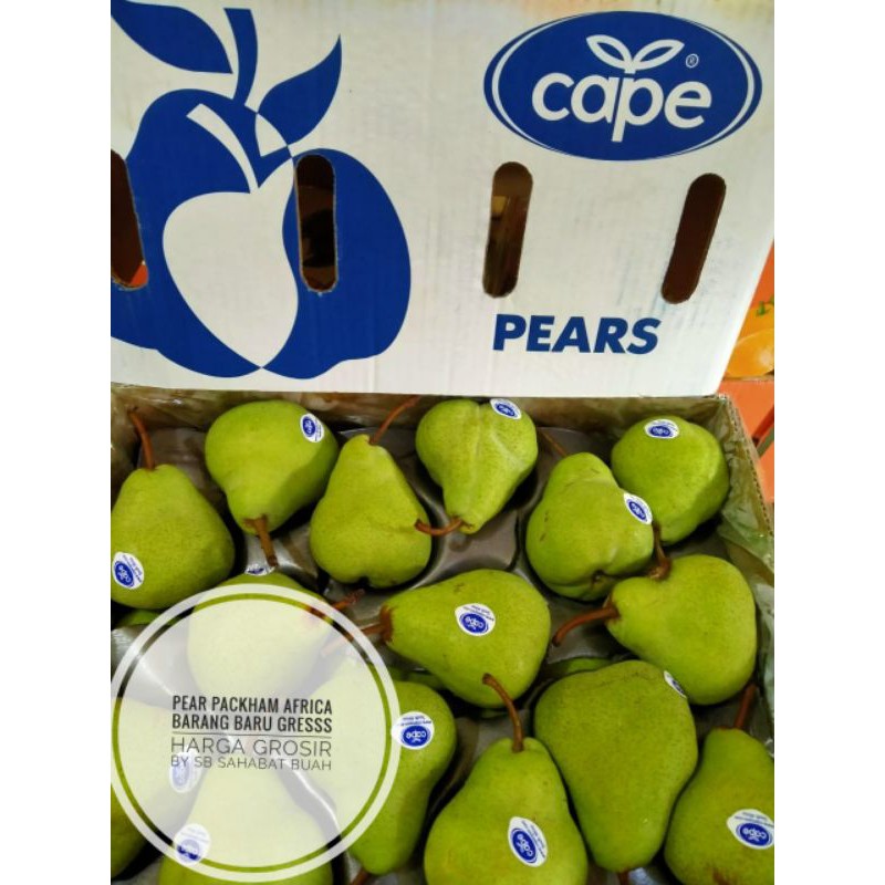 

buah pear packham africa / pear jambu harga grosir
