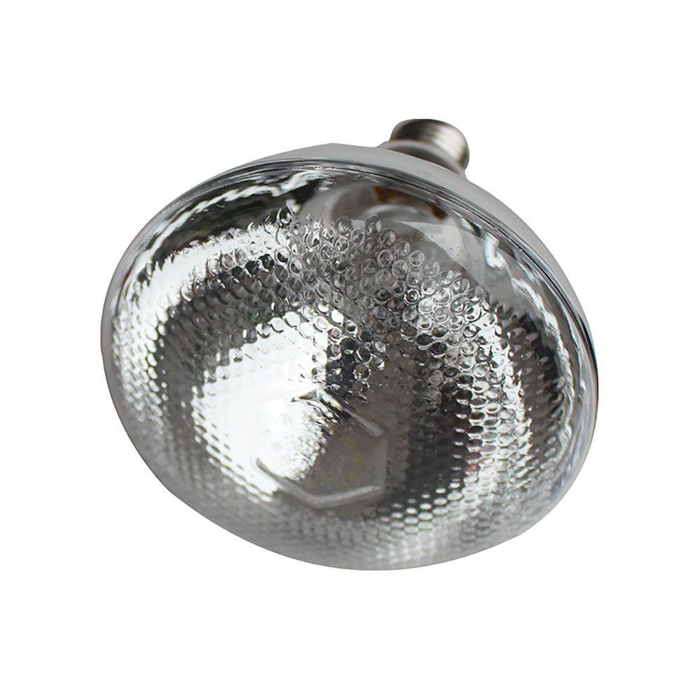 QUINTON Bohlam Lampu Pemanas 1pcs 100 /150 /200 /250W Pengawet Panas Menebal Untuk Unggas, Pet Brood High Quality Pet Brooder Lamp