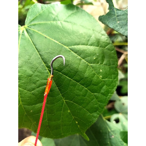 pancing belut tali tambang