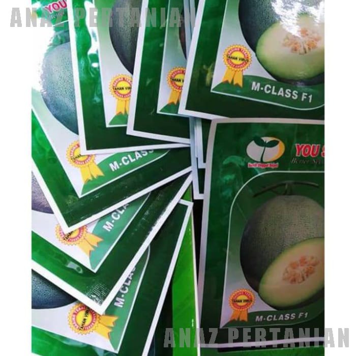 Benih Melon M-CLASS F1 YOU SEED QUALITY Tahan Virus Buah