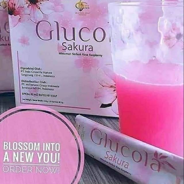 GLUCOLA SAKURA