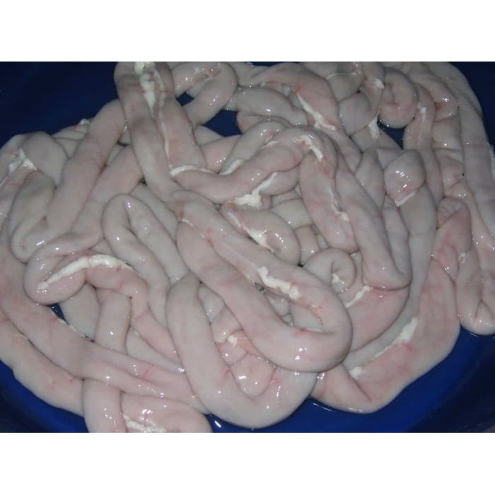 

USUS BABI - USUS KECIL- USUS RAJA FRESH BERAT 1KG
