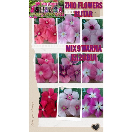 

BIJI MIX 9 WARNA isi 30 biji