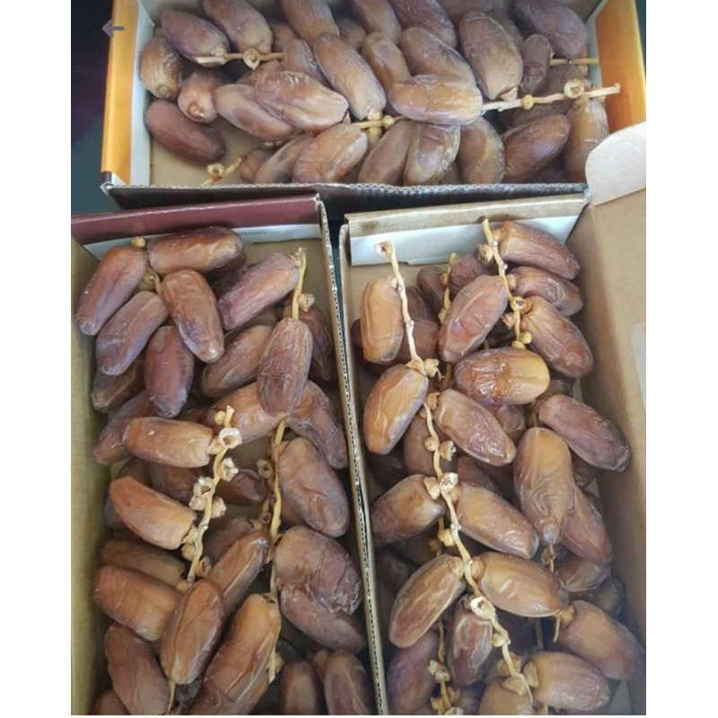 KURMA TANGKAI EL RIAD DATES 500gr/ TUNISIA TANGKAI