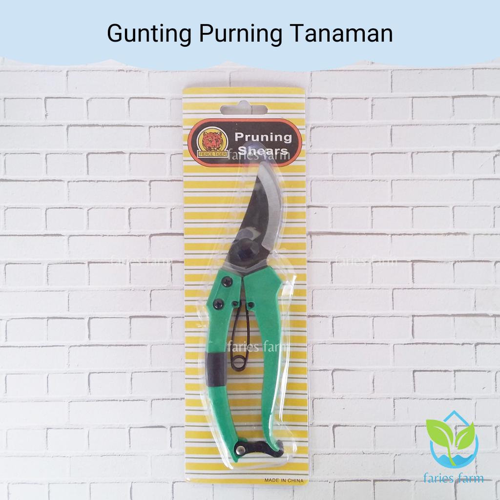 Gunting Purning Ranting Kecil Daun Tanaman Gardenin