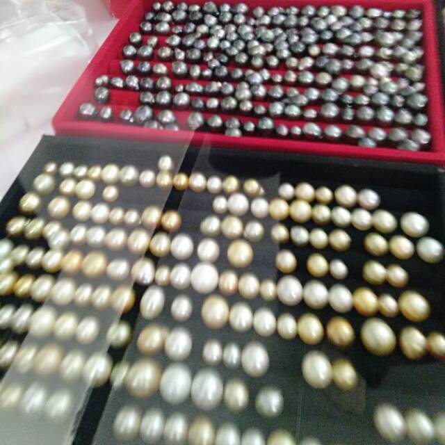 Mutiara laut asli lombok