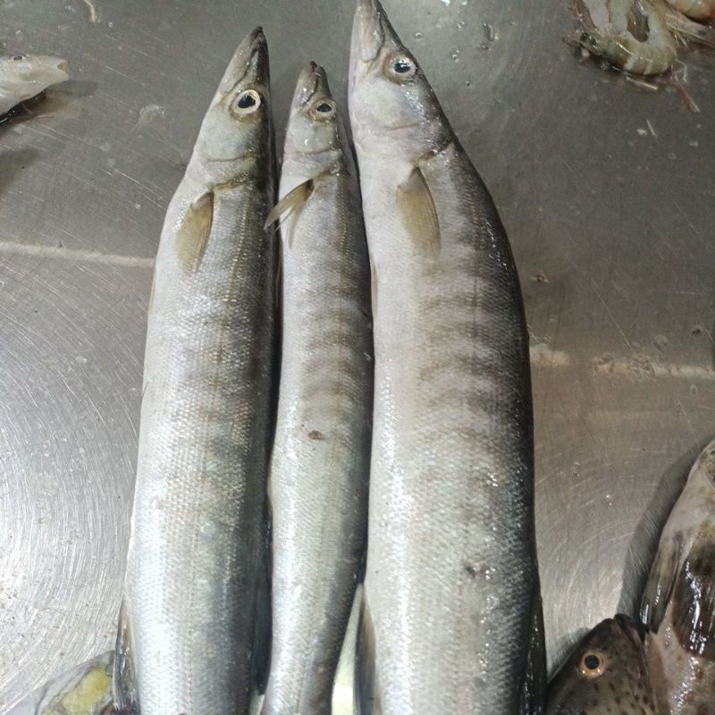 

Ikan Alu - Alu 1kg