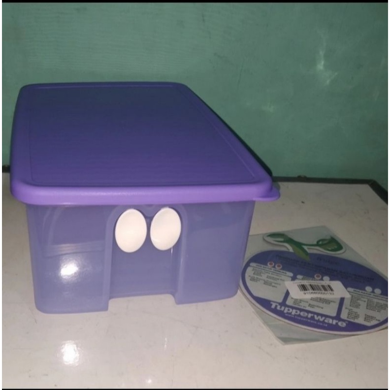 Fridgesmart tupperware medium