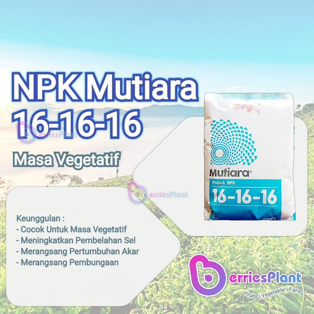 Pupuk Mutiara NPK 16 16 16 | Pupuk Pembungaan | Pupuk Pembuahan | Pupuk Tanaman |  BerriesPlant