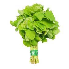 

SAYUR BAYAM HIJAU SAYUR SEGAR