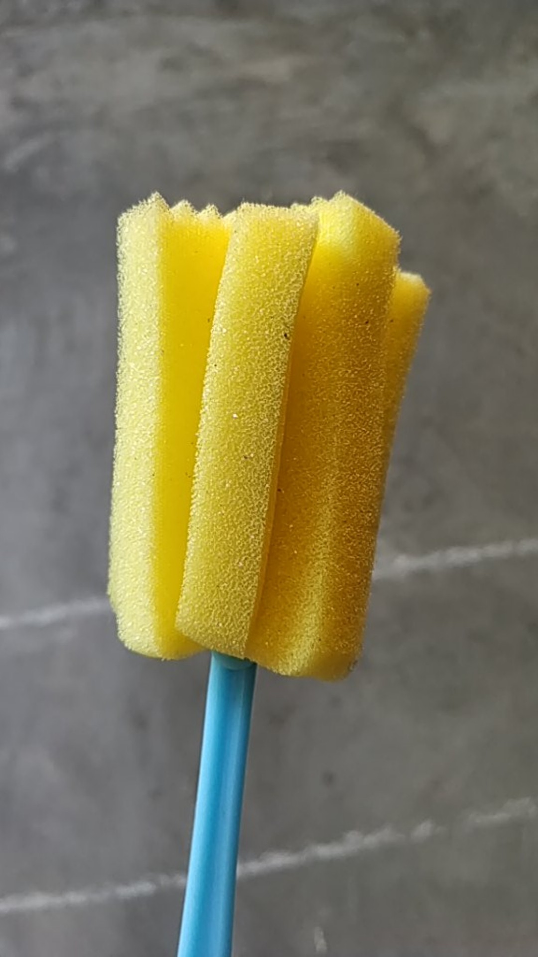 Kitchen Cleaning Tool Long Handle Sponge Wineglass Bottle Coffe Tea Glass Cup Brush