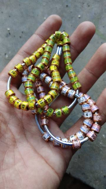 Ring Murai, Lovebird, Anis, perkutut,