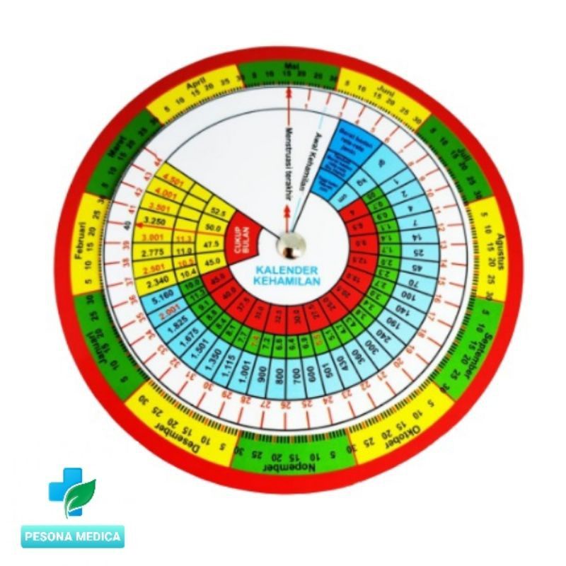 

kalender kehamilan
