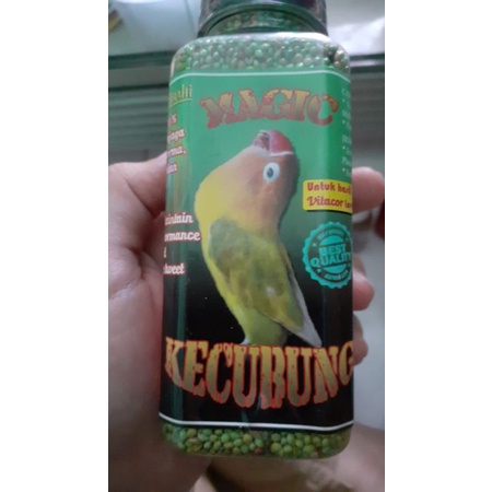 MAGIC KECUBUNG