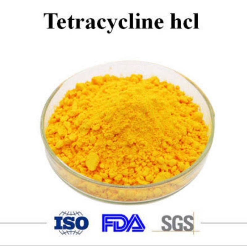 tetracycline hcl obat ikan hias bubuk antibiotik untuk luka / bekas kutu