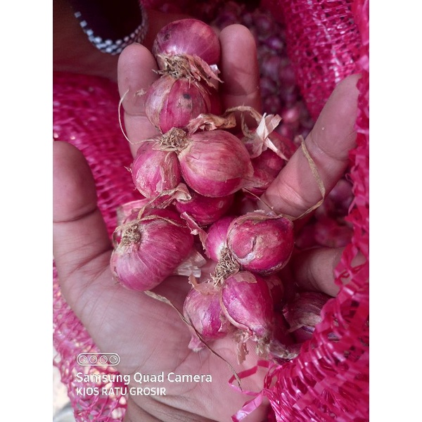 

1 KG BAWANG MERAH BREBES SUPER (WAJIB PAKE GOJEK/GRAB/SHOPEE EXPRES