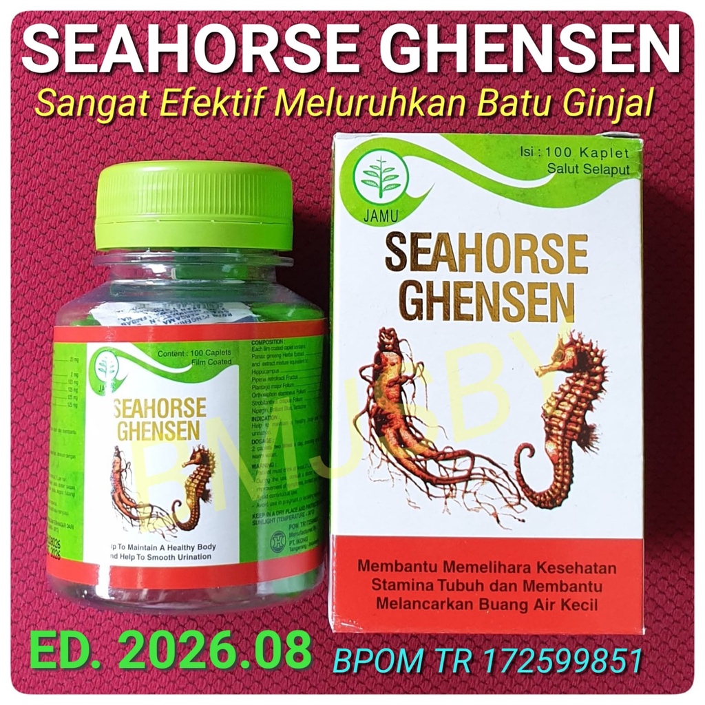 SEAHORSE GHENSEN SEHAT GINJAL