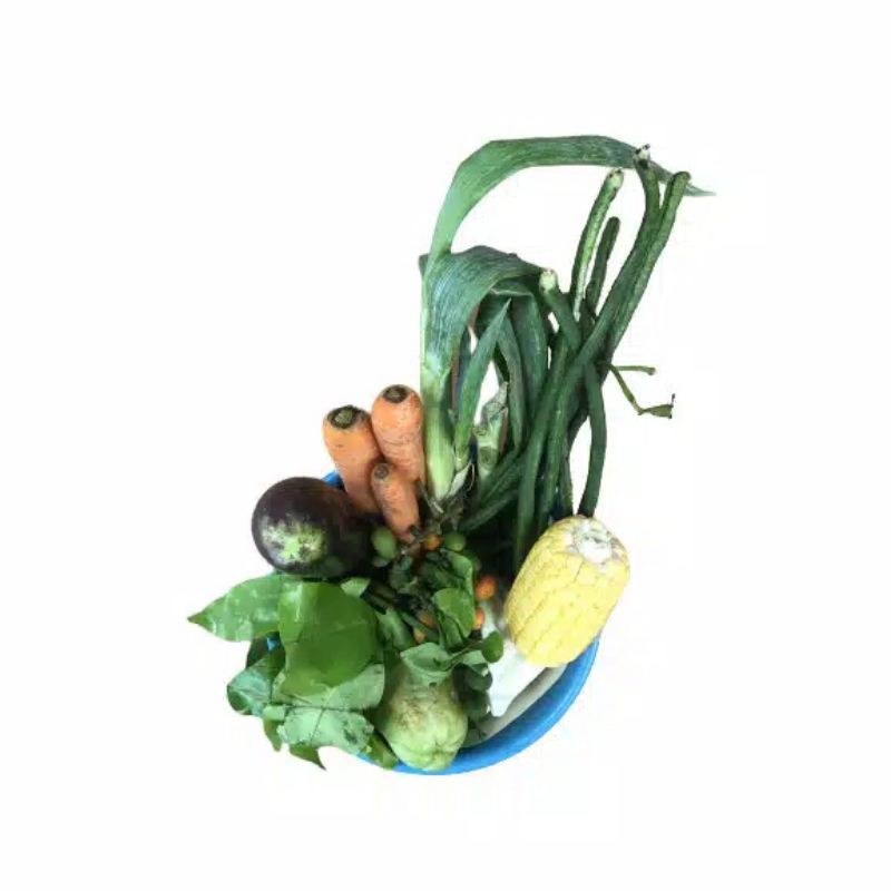 

sayur lodeh
