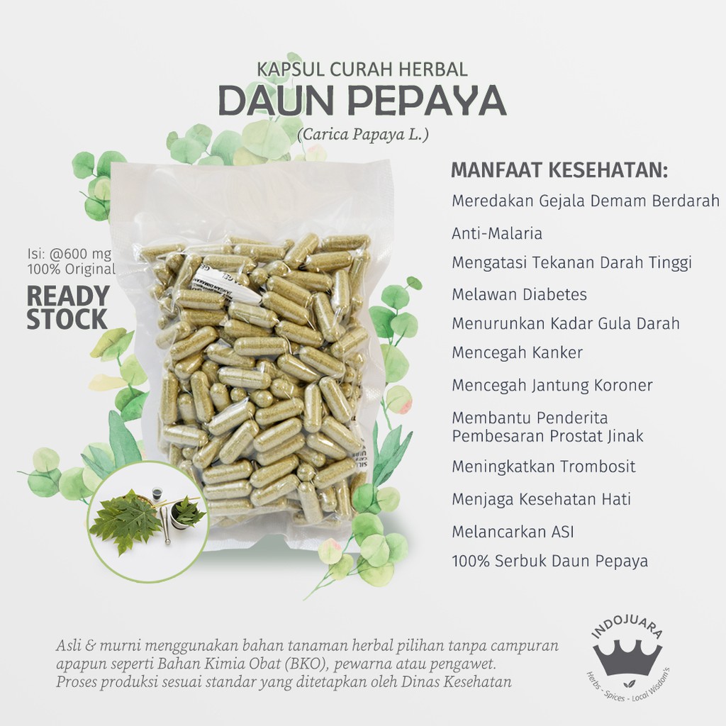 

DAUN PEPAYA 100 Kapsul Curah Herbal Demam Berdarah Malaria Anti Aging Jerawat Eksema Tukak Lambung