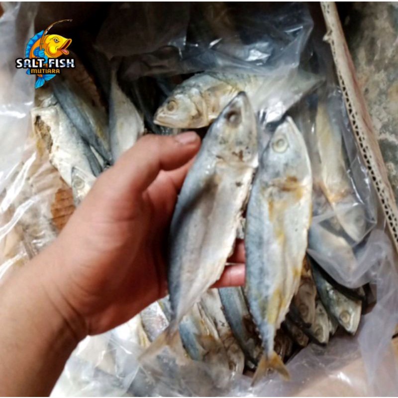 

Ikan Asin Peda Putih Tanggung Kemasan 1kg