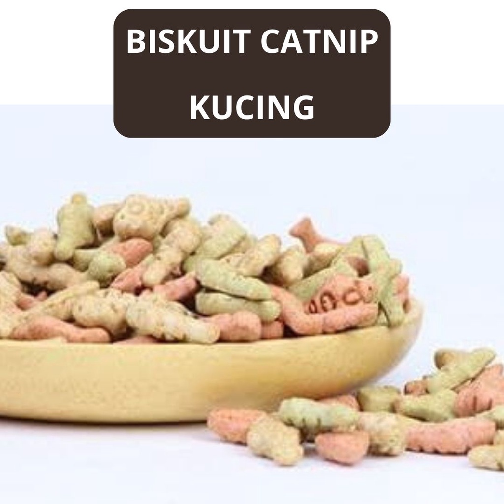 Snack Biskuit Catnip Dengan Aneka Rasa Khusus Buat Kucing FEZONE