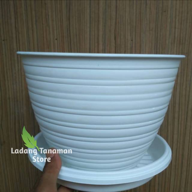 Pot tanaman hias (Tawon ukuran 27) Pot bunga plus piring taktakan