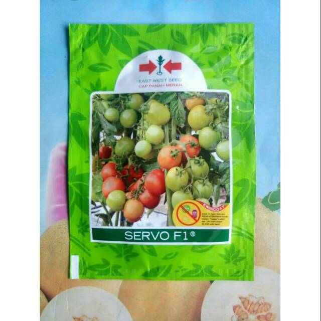 Servo F1 volume 150 biji benih tomat