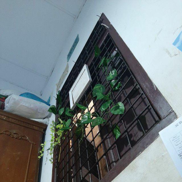 Es428  Tali Jemuran Nylon 10 Meter Serbaguna