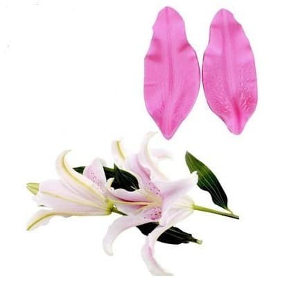 Deep Texture Silicone Mold - Lily Flower Petal (2pcs)