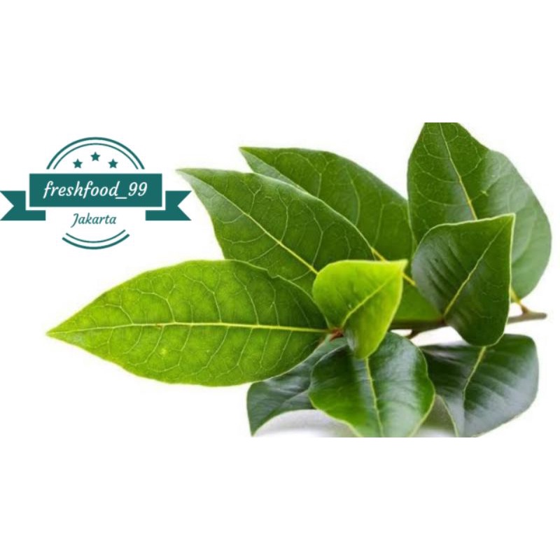 

sayuran segar daun salam per pack sayur murah sayur segar