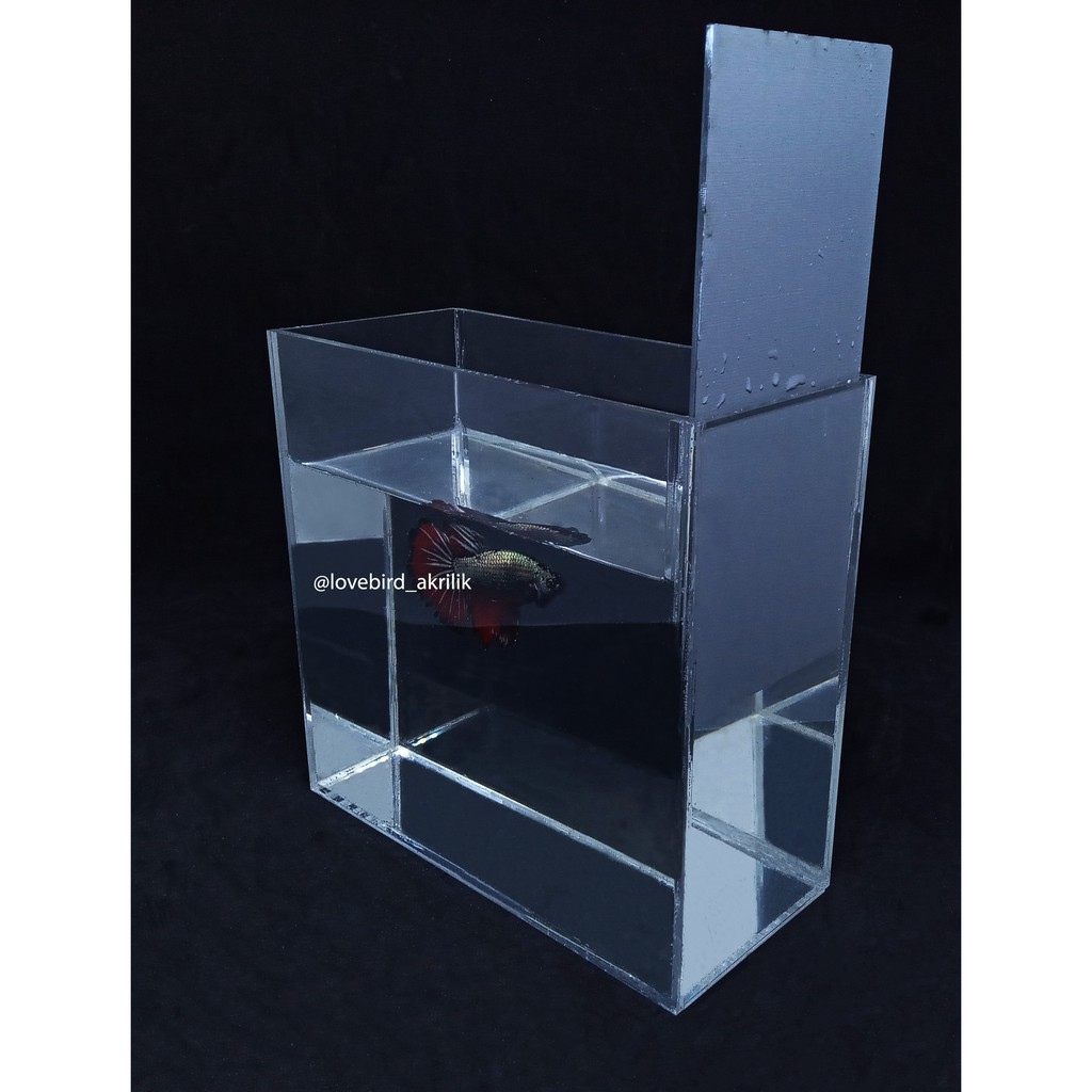 Aquarium Mini Akrilik Soliter Ikan Cupang Soliter Akrilik Aquarium Acrylic Mini Aquarium Akrilik Shopee Indonesia Jual aquarium akrilik terdekat