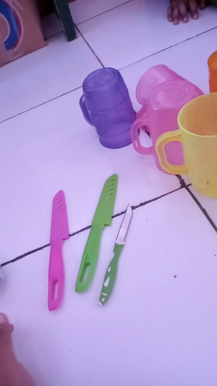 Pisau Buah/pisai Sayur/pisau Sarung