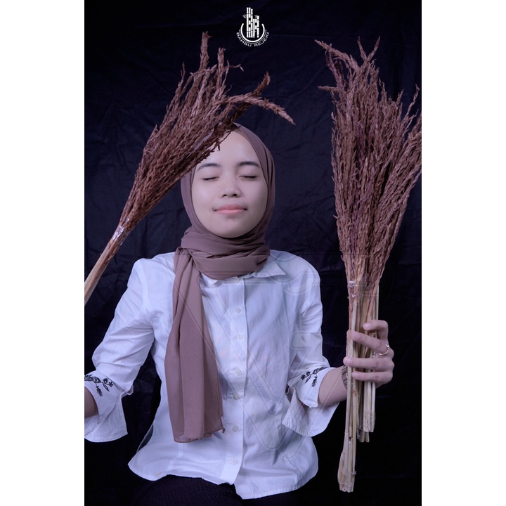 HOME DECOR BUNGA JAGUNG KERING HIASAN RUMAH, BUKET, BUNGA CORNELIA PESTA MURAH MERIAH!! - COKLAT