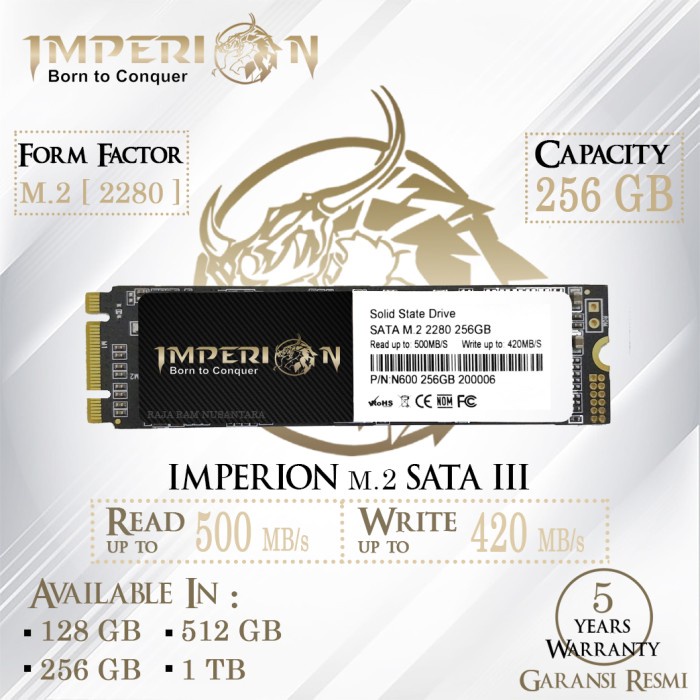 SSD M2 SATA M.2 SATA III 2280 256 GB IMPERION GARANSI RESMI SSD 256GB