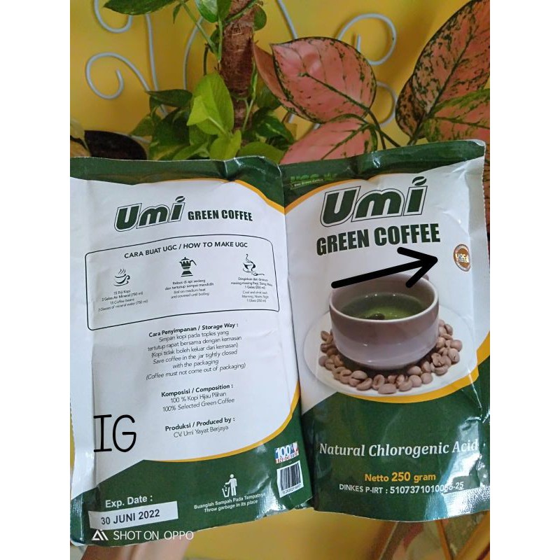 UMI GREEN COFFEE KOPI DIET PELANGSING ALAMI TANPA EFEK SAMPING UGC MENGOBATI HIPERTENSI