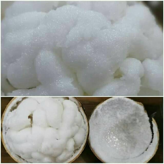 

Kopyor Maknyuz Asli Pati Jawa Tengah Grosir Pilihan Buah Kelapa Kopyor