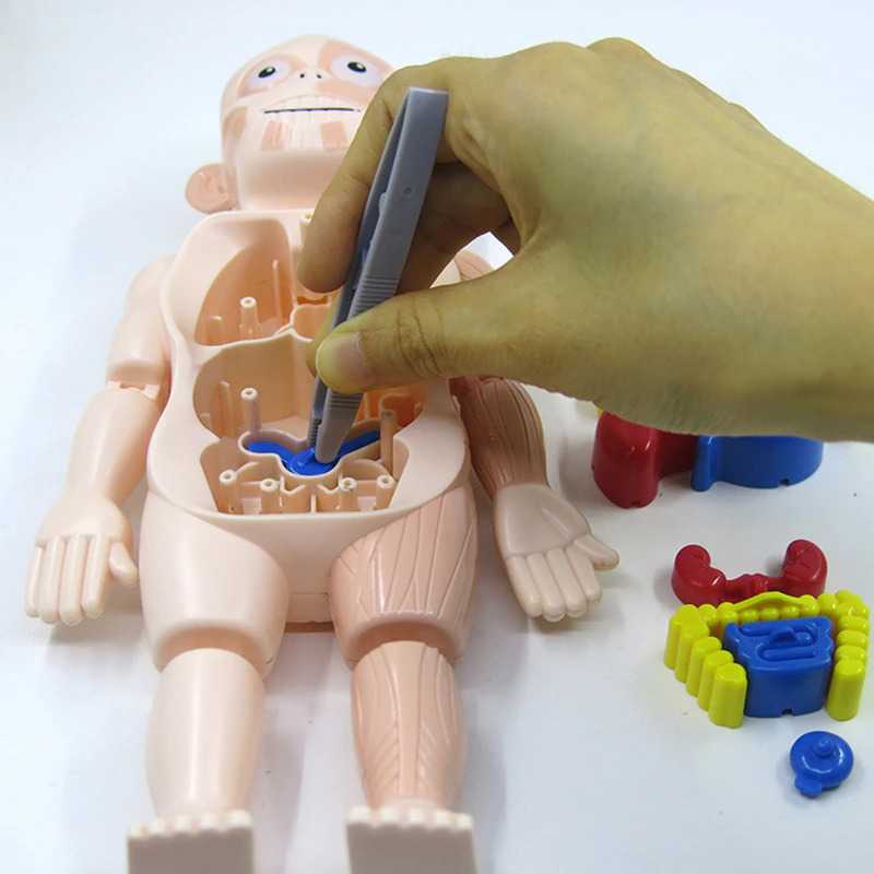 Yokibo Mainan Anak Montessori Body Anatomy Children Toy - DD232 ( Al-Yusi )