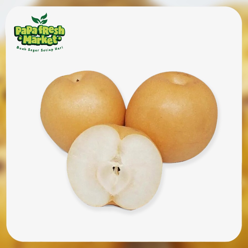 

PIR SINGO KOREA - ( 1 BUAH )