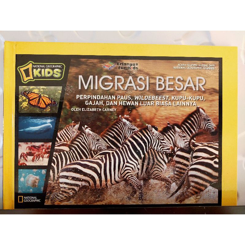 

MIGRASI BESAR PERPINDAHAN PAUS, ZEBRA DLL