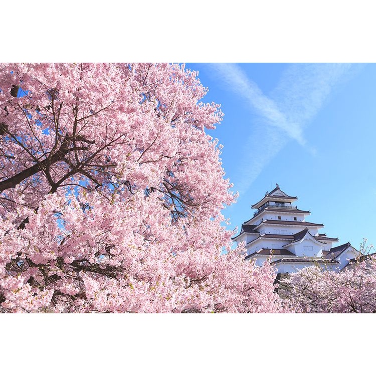 Lukisan murah lukisan cetak hiasan dinding gambar bunga sakura ukuran 65x45