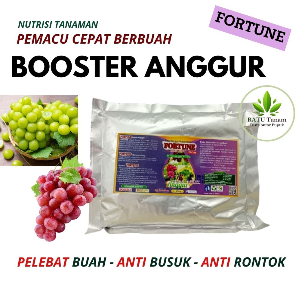 Pupuk Booster Anggur Pelebat Buah, Pupuk Bibit Anggur Agar Cepat Berbuah, Pupuk Buah Anggur Brazil