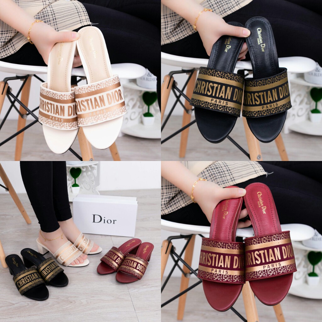 Christian Dior Dway Mule In Pumps 507168