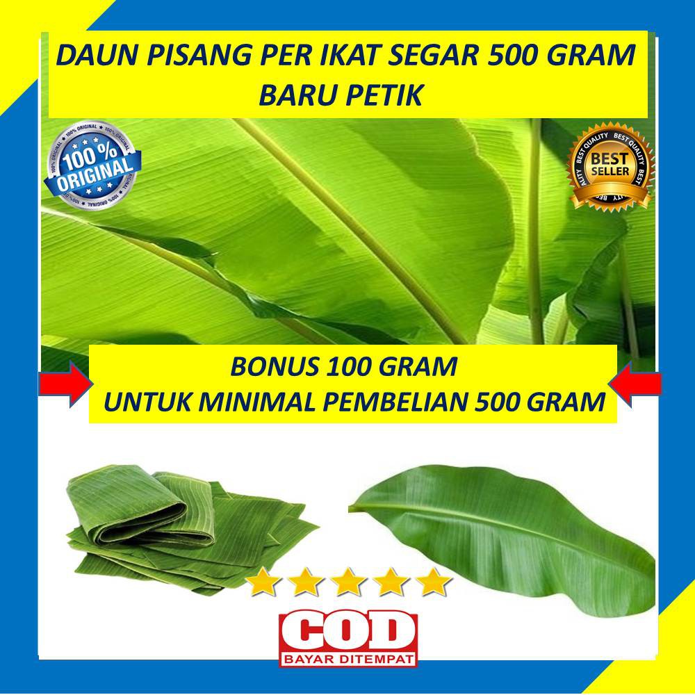 Daun Pisang Perikat Segar 500 Gram