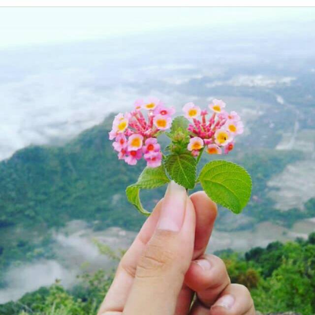 thiya28